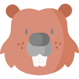 Beaver icon