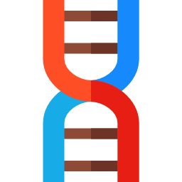 adn Icône