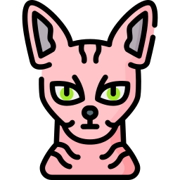 Peterbald icon