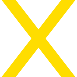 Letter x icon