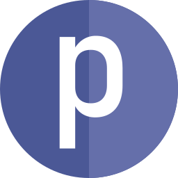 Letter P icon