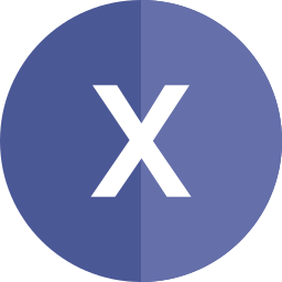 Letter x icon