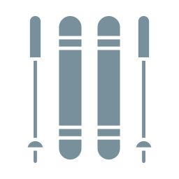 ski Icône