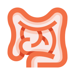 Intestines icon