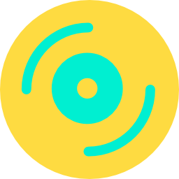 vinyl icon