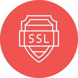 Ssl icon