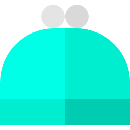 Purse icon