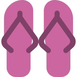 Flip flops icon