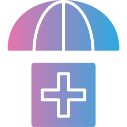 assicurazione sanitaria icona