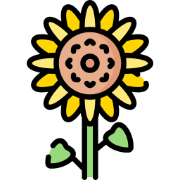 Sunflower icon