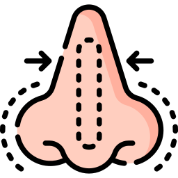 Rhinoplasty icon