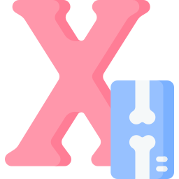 Letter x icon