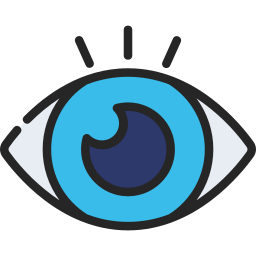 Vision icon