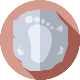 Fossil icon