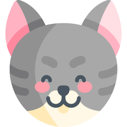 European shorthair icon