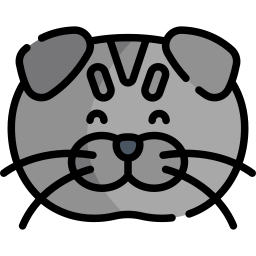 Scottish fold icon