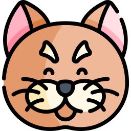 Shorthair cat icon