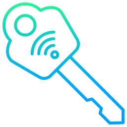 Smart key icon