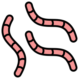 Worm icon