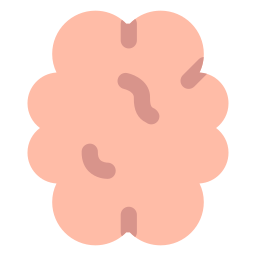 Brain icon