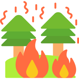 feuer icon