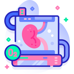 Kidney icon