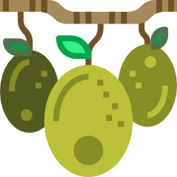 Olives icon