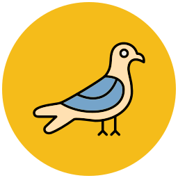 Seagull icon