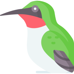 kolibri icon