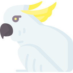 Cacatua Ícone