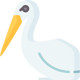 storch icon