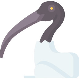 ibis icon