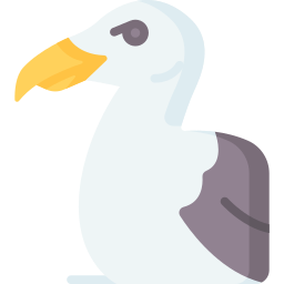 möwe icon