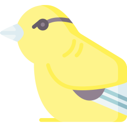 kanarienvogel icon