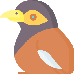 myna icon