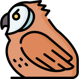 hibou Icône