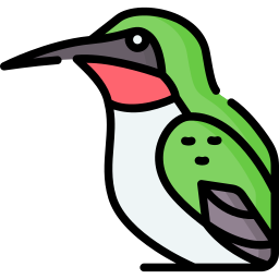 kolibri icon