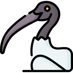 ibis ikona