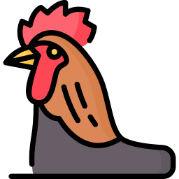 coq Icône