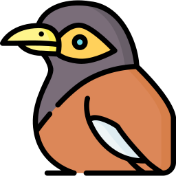 myna Ícone