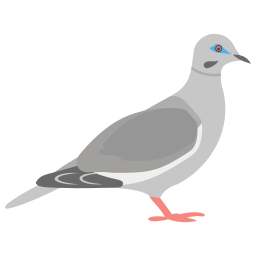 pombo Ícone