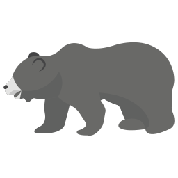 Bear icon