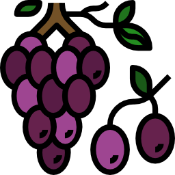 Grapes icon