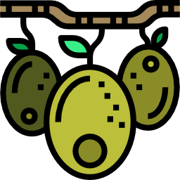 Olives icon