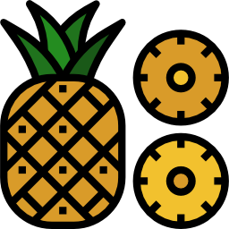 Pineapple icon