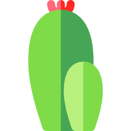 cactus icoon