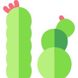 cactus icoon