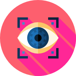 Eye scan icon