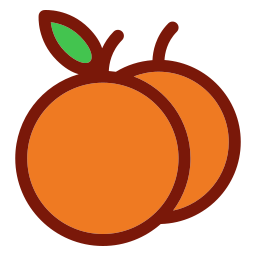 Orange icon