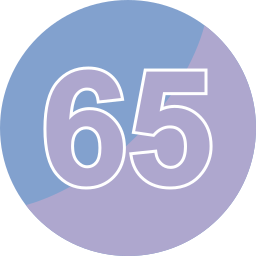 65 Ícone